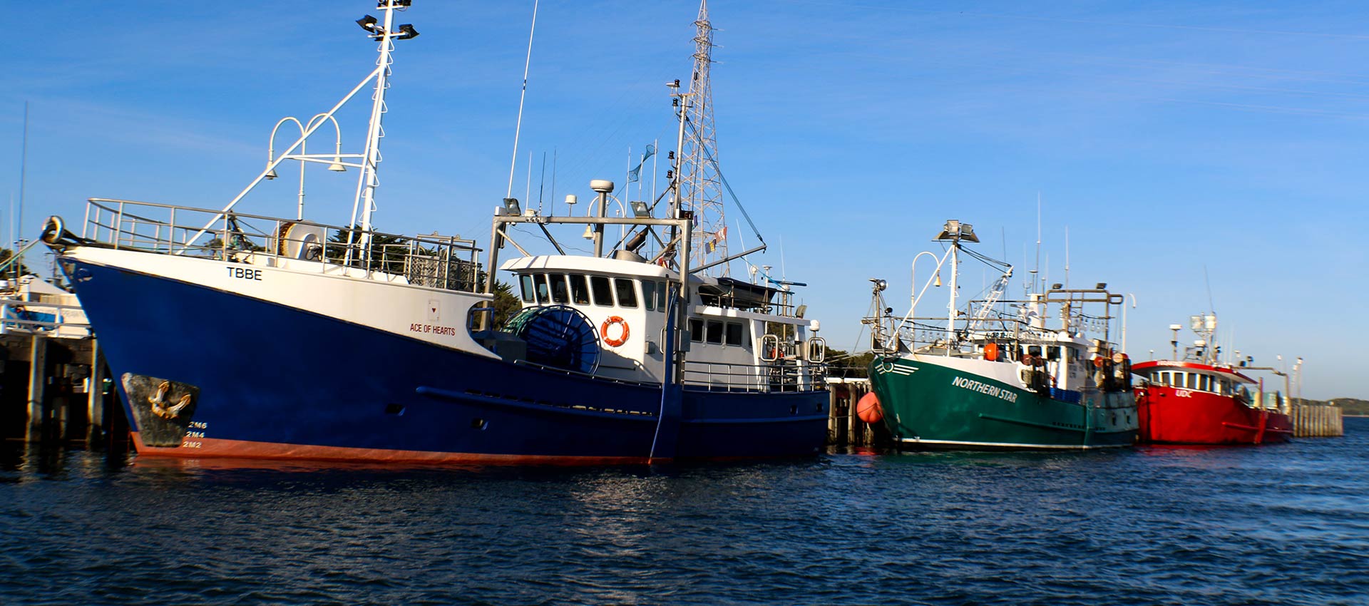 Fishing Boats in the San Remo Jetty bring in their daily fresh seafood catch for the San Remo Fisherman's Co-op | Things to do Phillip Island