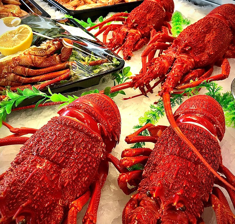 Local Rock Lobster - Crayfish